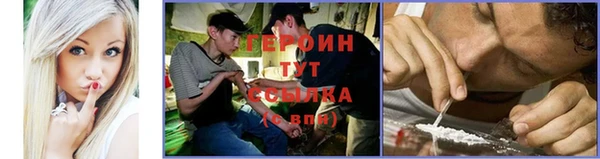 прущие грибы Алексин