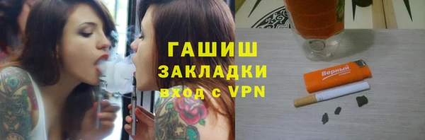 стаф Алзамай