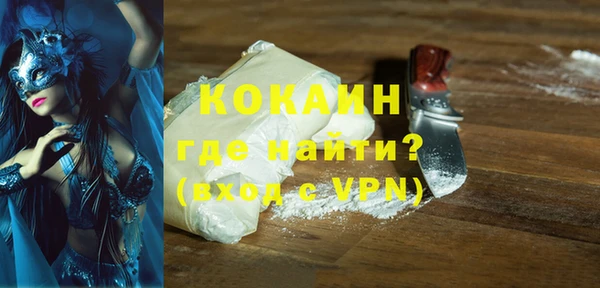 стаф Алзамай
