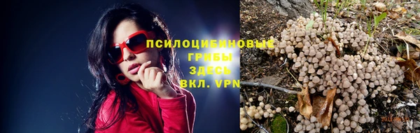 прущие грибы Алексин