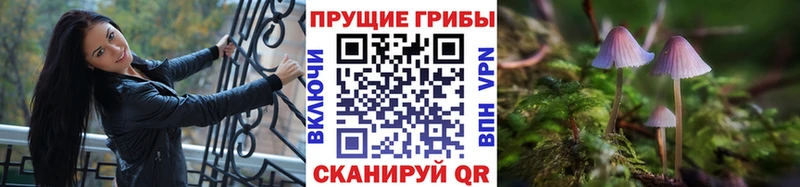 Псилоцибиновые грибы Cubensis  купить   Мытищи 