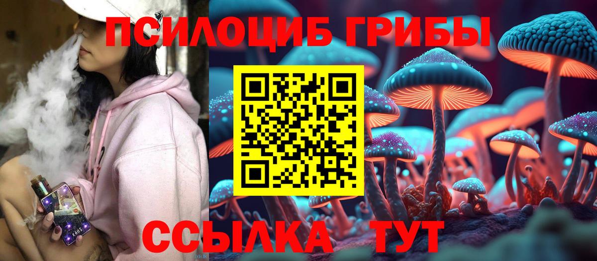 Галлюциногенные грибы Magic Shrooms Мытищи