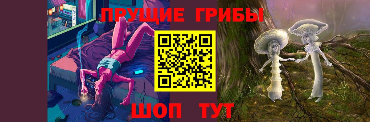 Мытищи  где купить   Вход с VPN  Псилоцибиновые грибы Psilocybe 